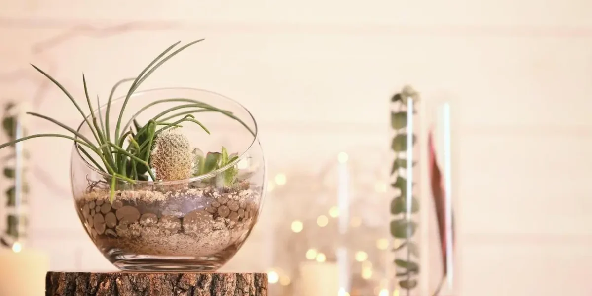 Jak zaaranżować domowy kącik do medytacji przy niskim budżecie