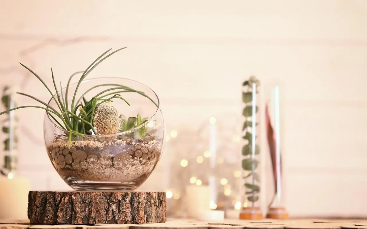 Jak zaaranżować domowy kącik do medytacji przy niskim budżecie